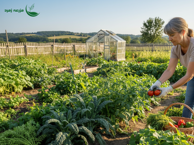 تکنیک_های کاربردی باغبانی برای تولید غذای سالم
