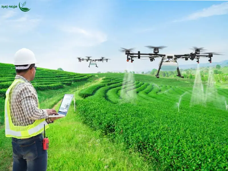 روش‌های بهبود عملکرد محصولات کشاورزی