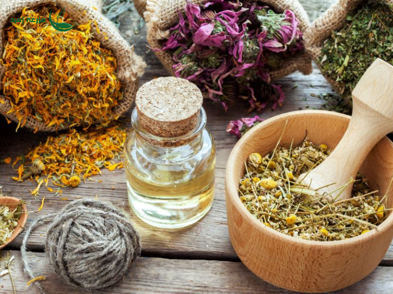 رازهای طلایی کشت گیاهان دارویی و معطر برای مبتدیان