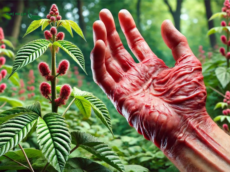 ۱۰ گیاه سمی و خطرناک در طبیعت: نکات ایمنی