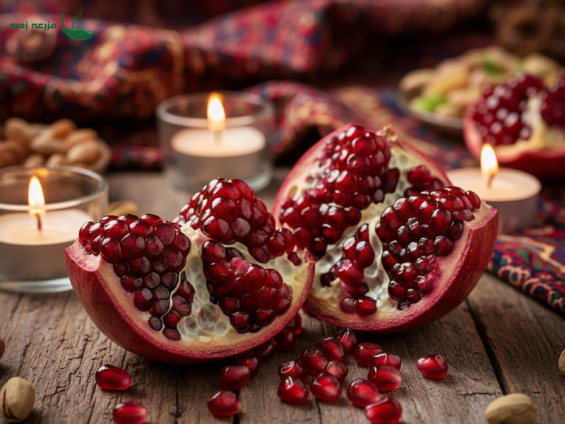 انار؛ نماد برکت و زایش زمین