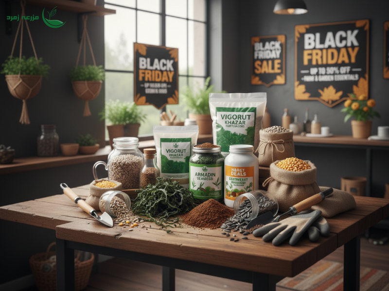 بلک فرایدی نشان‌دهنده رفتار مصرف‌کننده است