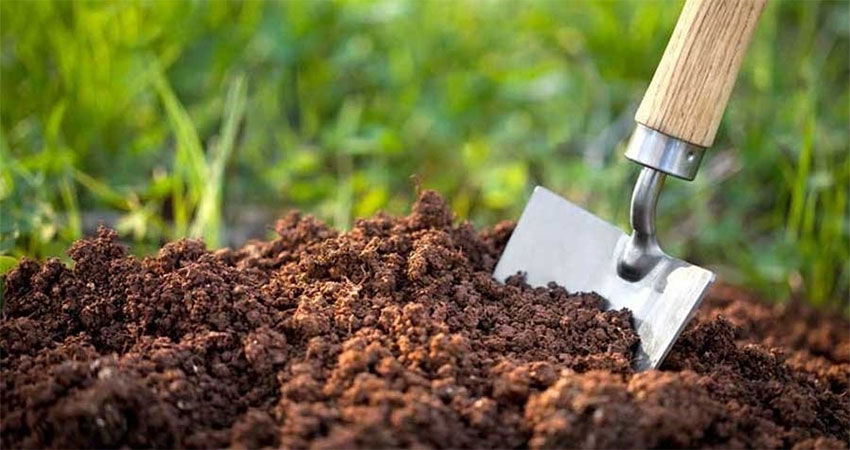 تاثیر مواد آلی خاک در حاصلخیزی و فعالیت زیستی خاک